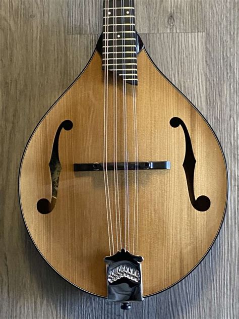 Mandolin store - Gibson – F5G – Updated Specs. $ 5,999.00. The F-5G is a Modern Collection version of Gibson’s iconic F-5 design. Tuned to the needs of modern mandolin players, its player-friendly specs include an unbound ebony fingerboard,a 14-degree fingerboard radius, no pickguard, and a short finger board extension. The neck and body are made from ...